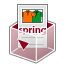2007 Spring Supplement